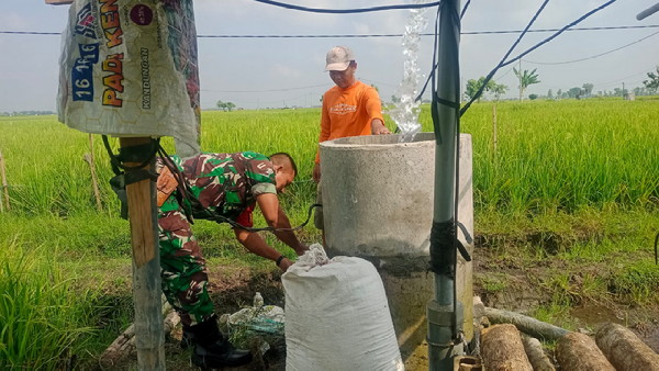 TNI Padas Ngawi Bantu Pompanisasi Petani Padi untuk Swasembada Pangan