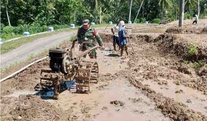 Tunjukkan Tekad Semangat Kerja Keras, Babinsa Koramil 0801/10 Punung Hadir Di Tengah Kesulitan Petani