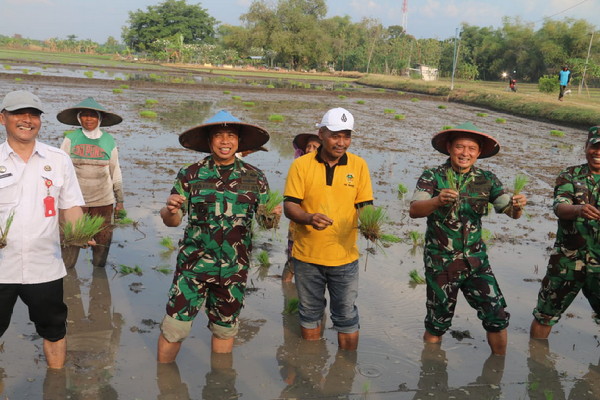 Dandim Madiun Dampingi Danrem 081/Dsj Tanam Padi dan Tinjau Sumur Bor