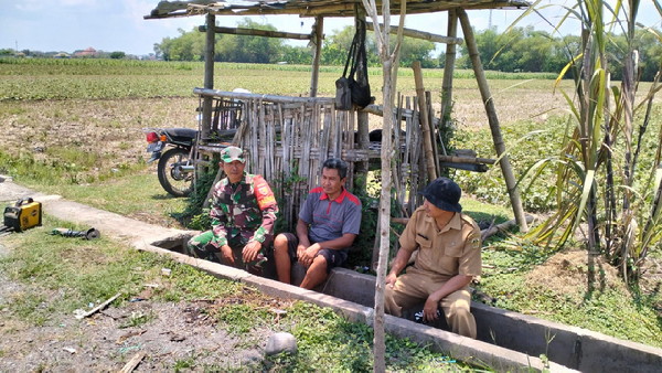 Babinsa Desa Ngadirejo dan PPPL Berikan Motivasi Kepada Kelompok Tani